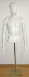 Male Torso Arms