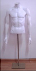 Male Torso Arms